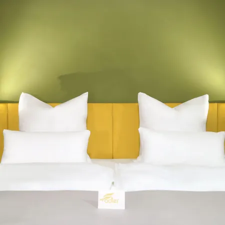 Adler ホテル 4*